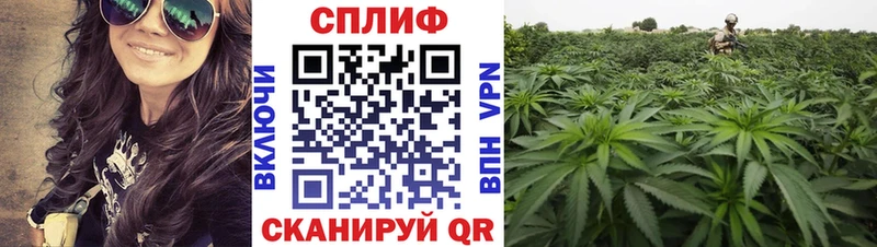 Где купить наркотики Анапа Гашиш  Амфетамин  A-PVP  МЕФ  Cocaine  Марихуана 