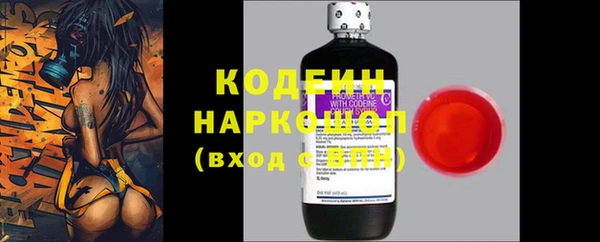 гашик Нягань