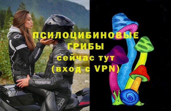 твердый Осинники