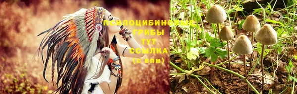 скорость Богородицк