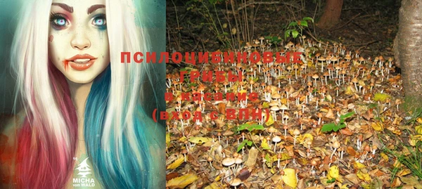 твердый Осинники