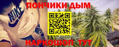 дживик Гай