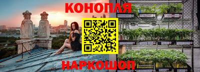 дживик Гай