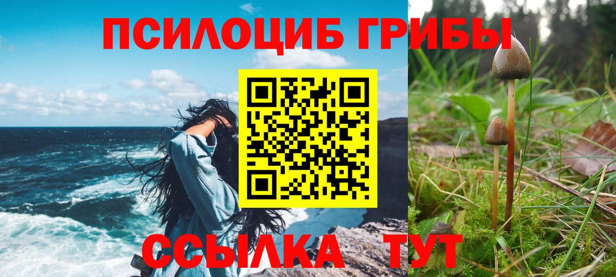 Галлюциногенные грибы Psilocybine cubensis  Анапа  Галлюциногенные грибы MAGIC MUSHROOMS 