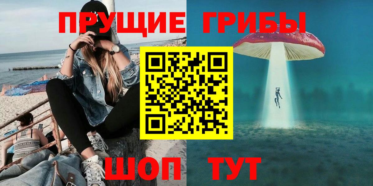 Галлюциногенные грибы Psilocybe Анапа