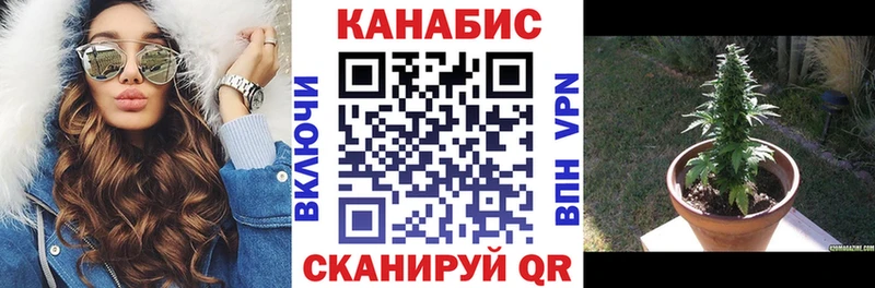 где продают   Анапа  Канабис индика 